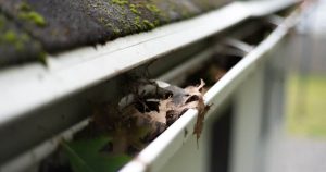 Gutters with leaves