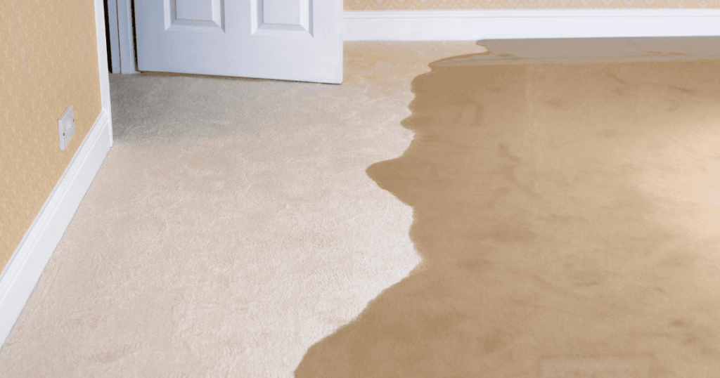 sump pumps water leaking on a carpeted floor